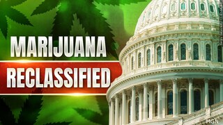 Do you think the reclassification of medical marijuana will benefit Arizona and California?