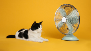 Are you ready for hot weather?