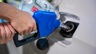 Do you think fuel prices will go down anytime soon?