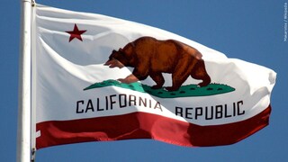 Have you made your choice for governor of California?