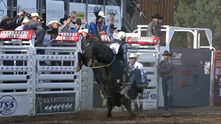 Do you plan on attending the Sister's Rodeo this year?