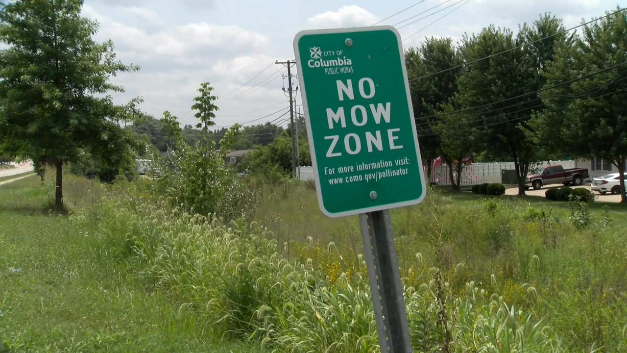 Should the City of Columbia mow its "No Mow Zones" more often?