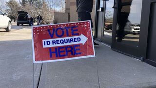 Will you vote in the upcoming primary elections?