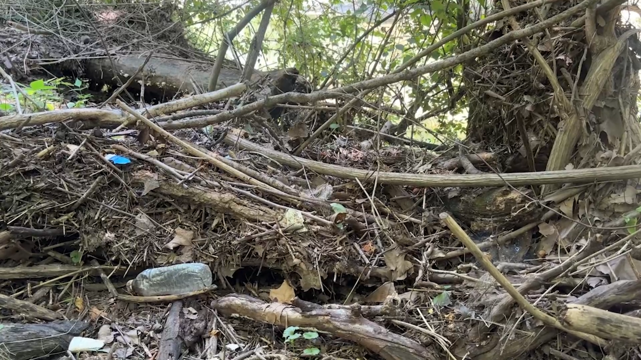 Do you think homeless camps are a major source of urban water pollution in Columbia?