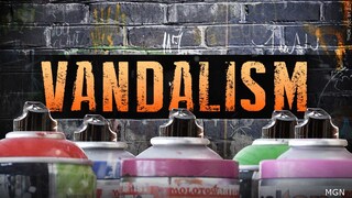 Do you think there should be more serious charges regarding vandalism?