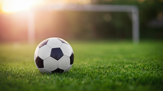 Has the World Cup sparked your interest in soccer?