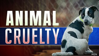 Do you think there should be more charges placed on animal cruelty?